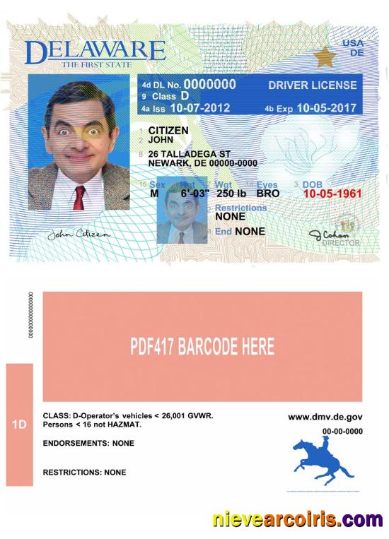 USA Delaware driving license version 2